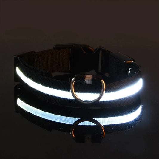 LED Flashing Collar