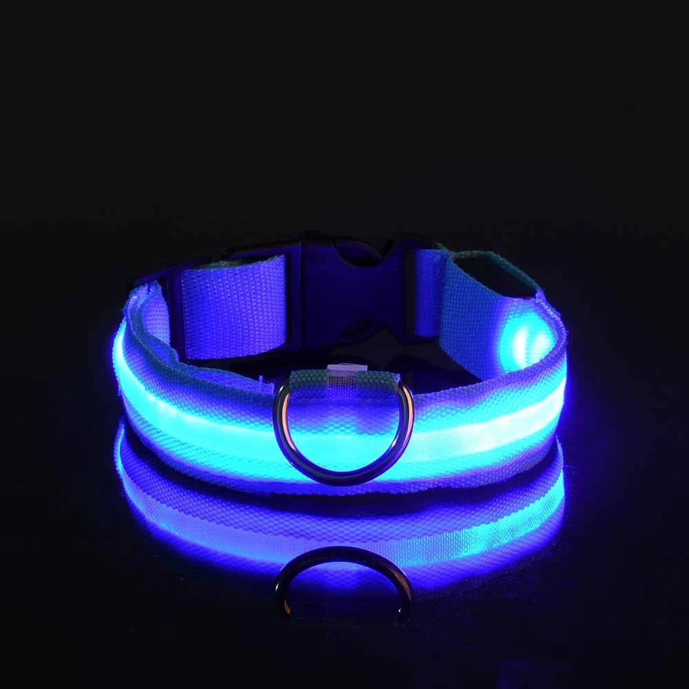 LED Flashing Collar