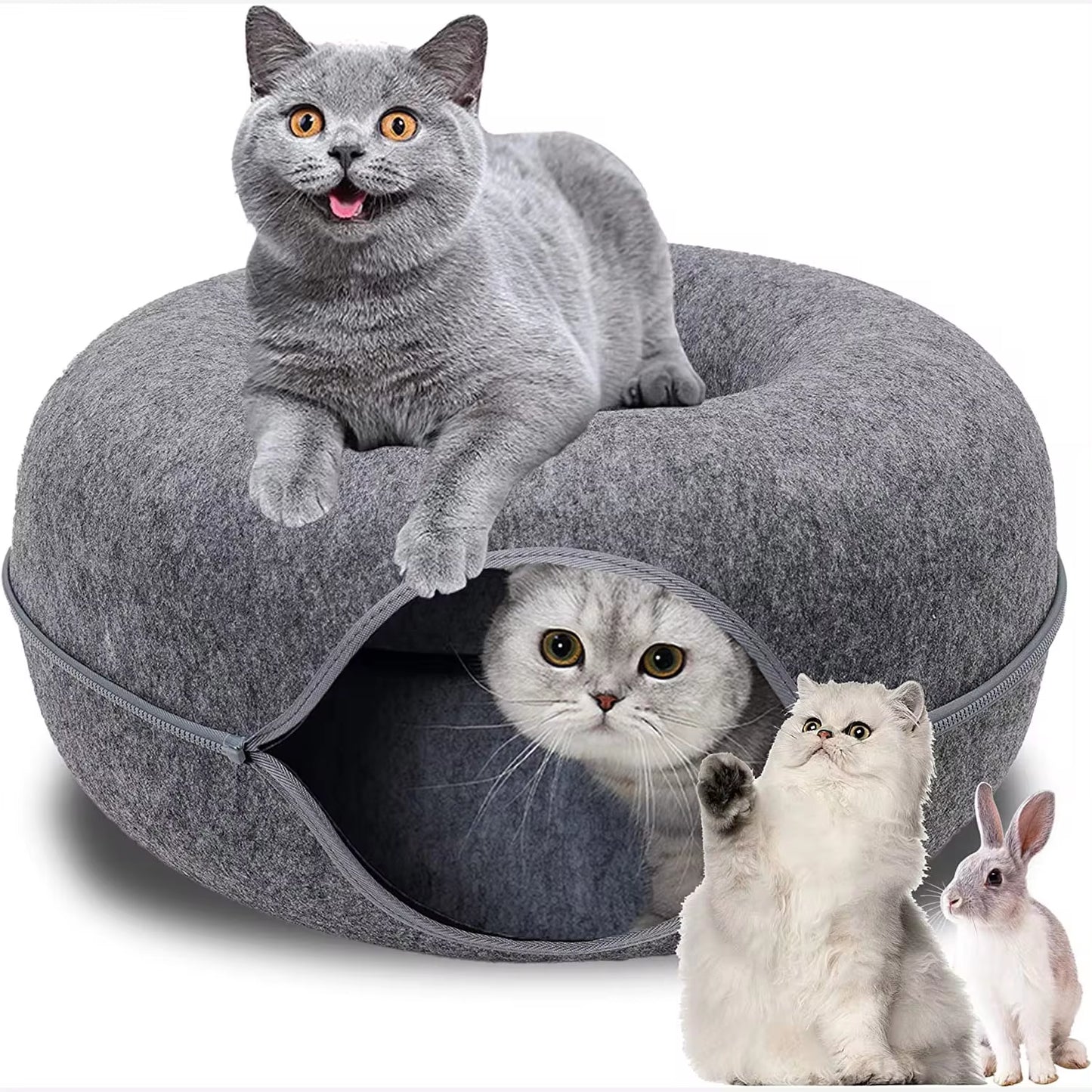 Donut-Shaped Tunnel Bed