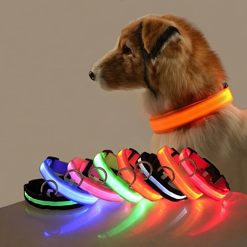 LED Flashing Collar