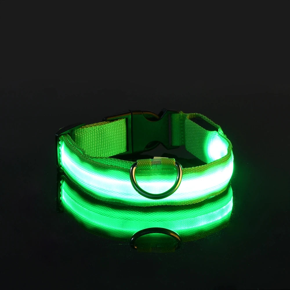 LED Flashing Collar