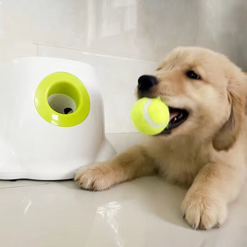 Tennis Ball Launcher