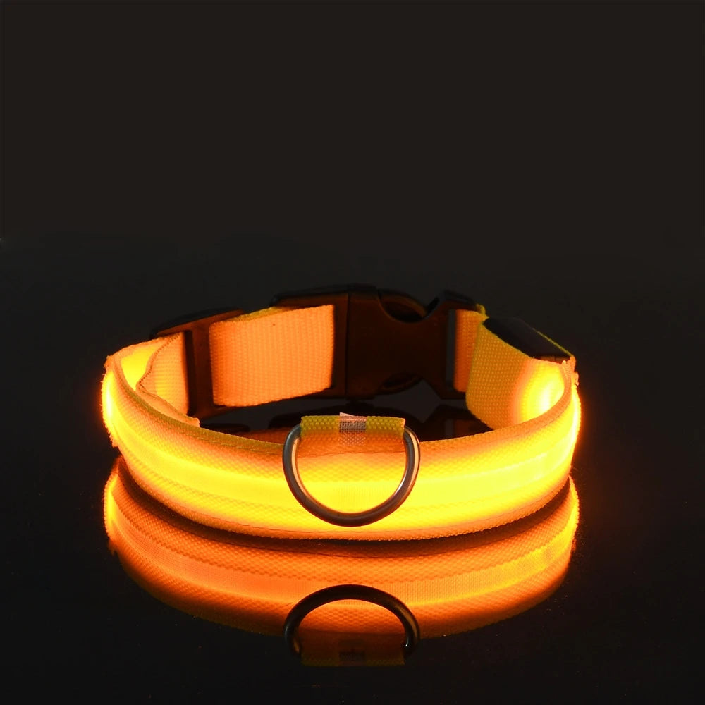 LED Flashing Collar